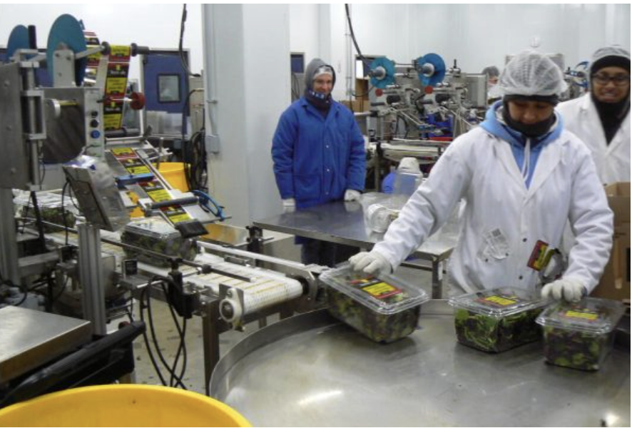 Mechanical engineer inspecting machinery